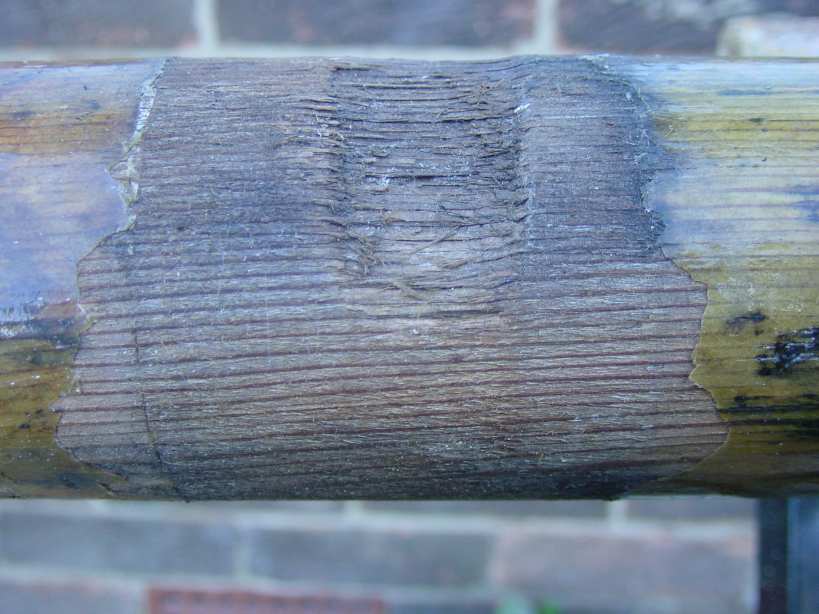 Photo showing chafe of the main mast against the mast thwart