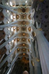 Monday 23rd March, nave ceiling of Gaudi's La Sagrada Familia, Barcelona.