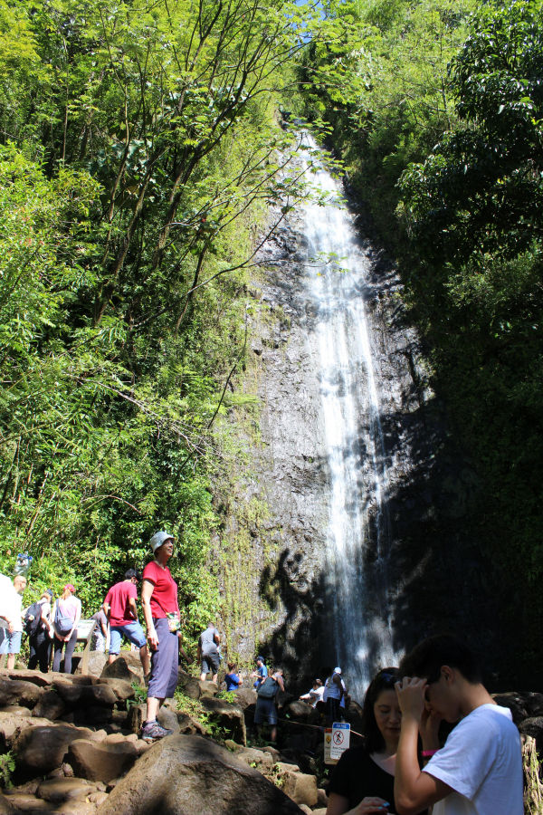 The Manoa Falls.