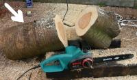 Initial preparation of a bole of Cherry with a chainsaw.
