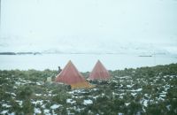 The main campsite on Annenkov Island, showing the equipment storage tent (left), and the living tent (right). December 1973.