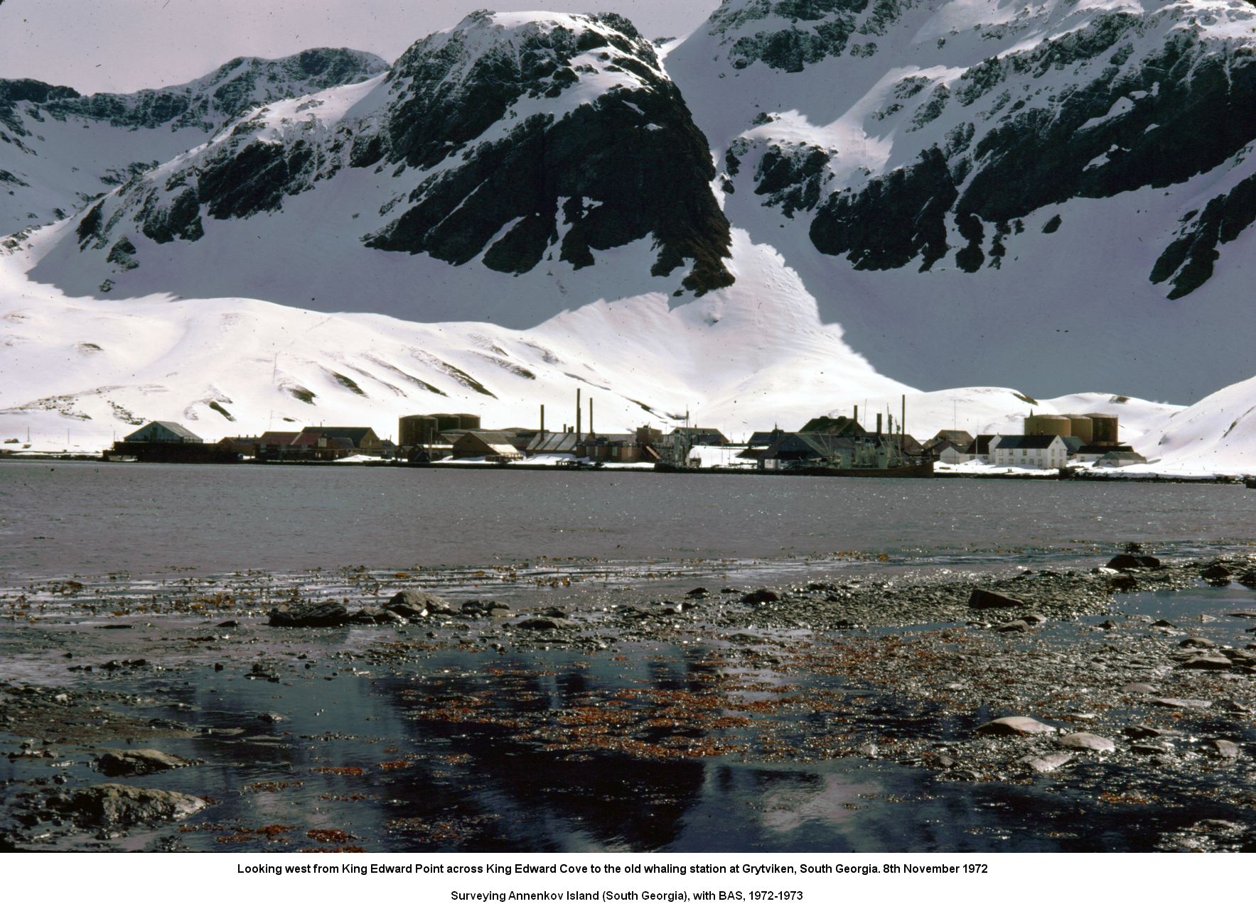 Looking west from King Edward Point across King Edward Cove to the old whaling station at Grytviken, South Georgia. 8th November 1972.