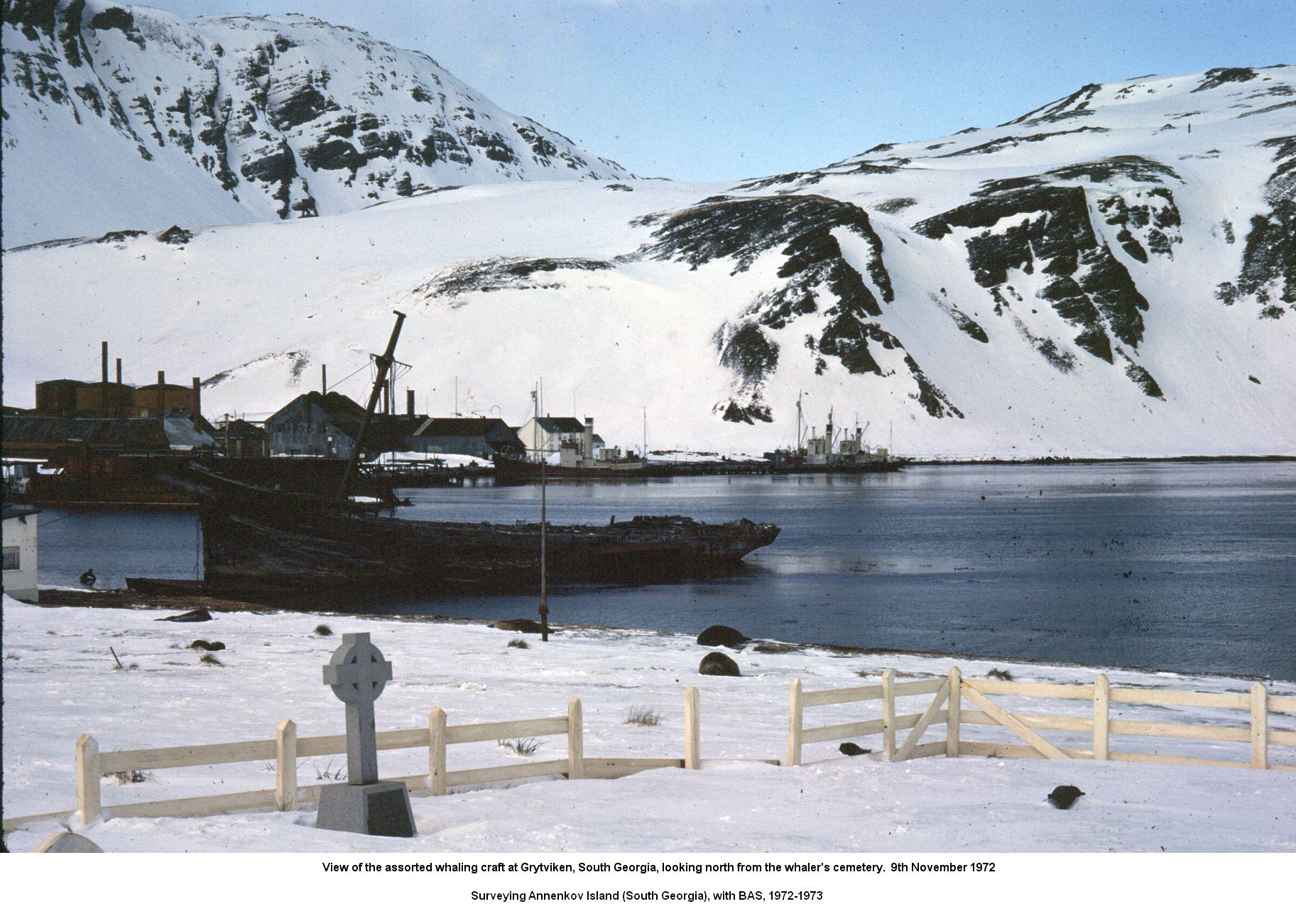 View of the assorted whaling craft at Grytviken, South Georgia, looking north from the whaler's cemetery.  9th November 1972.