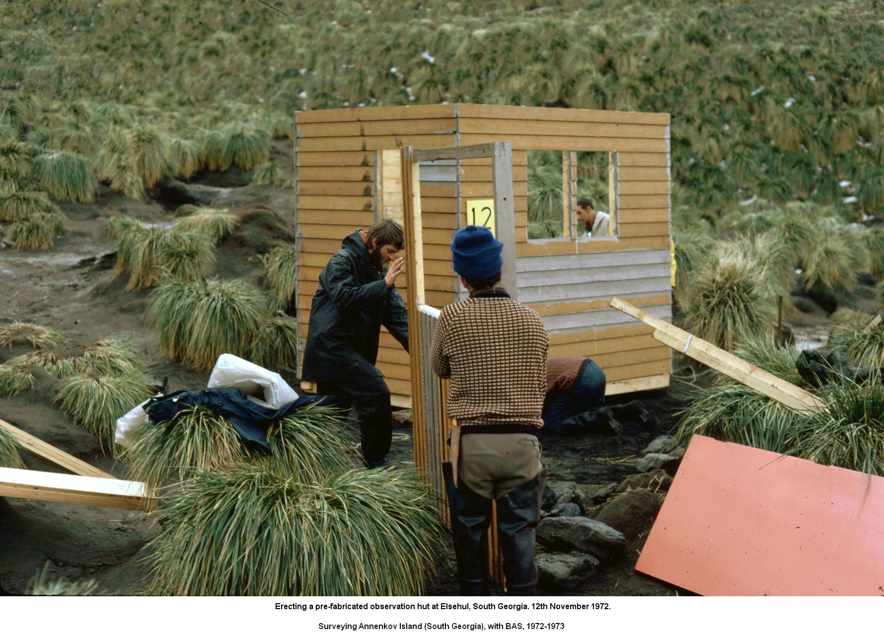 Erecting a pre-fabricated observation hut at Elsehul, South Georgia. 12th November 1972.