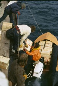 Loading a Gemini (RIB) of the RRS John Biscoe with supplies & equipment for the scientific party on Bird Island, South Georgia. 13th November 1972.