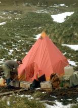 Camping on Annenkov Island