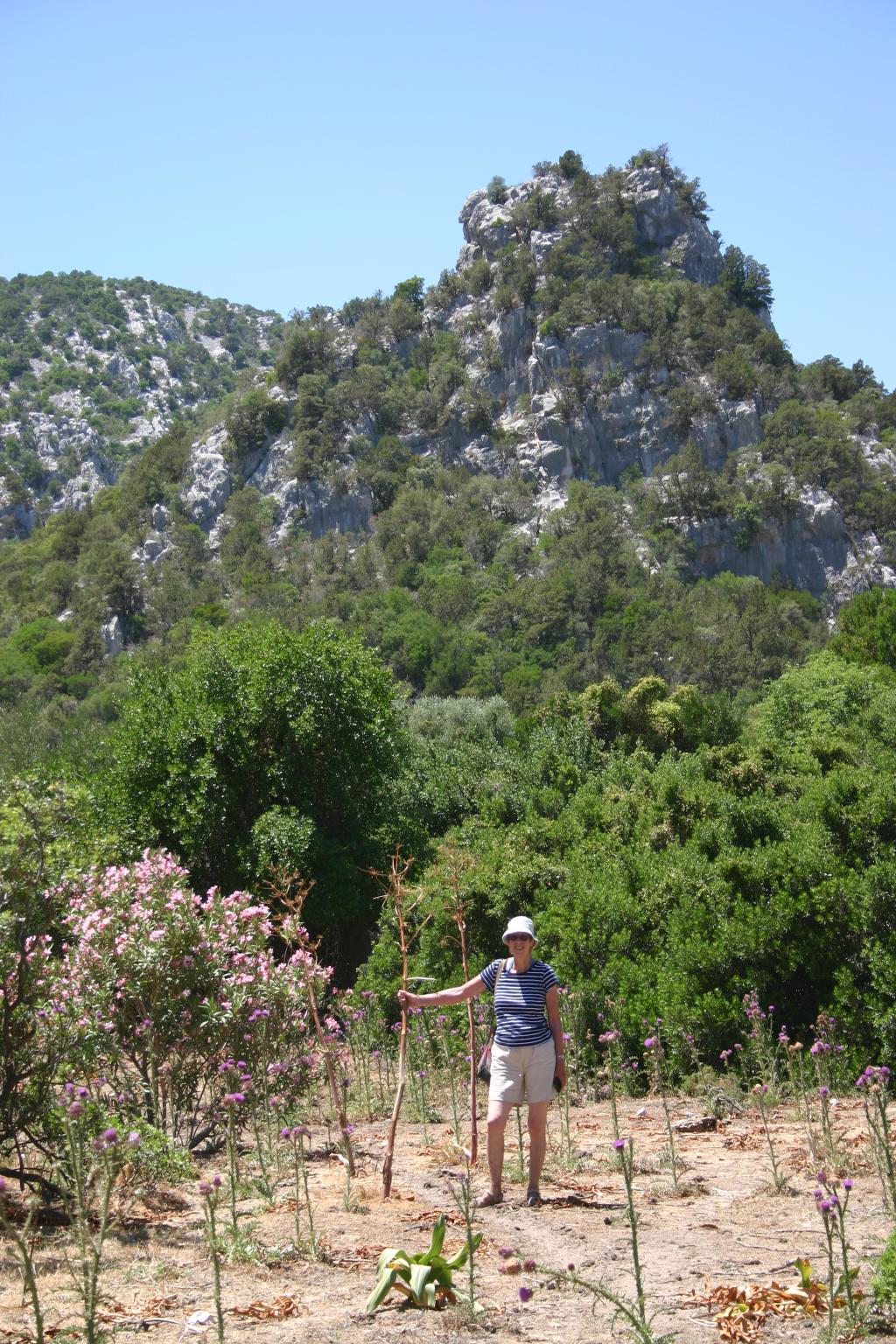 [Wednesday 8th June, approach to Cala Luna, Sardinia.